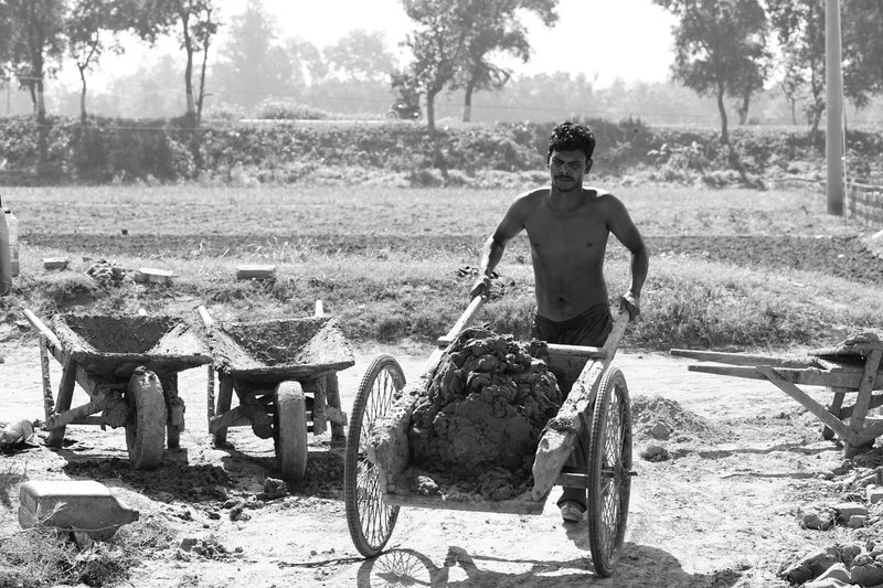 A shirtless man pushes a wheelbarrow full of rocks in a rural landscape.