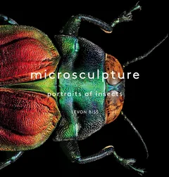 Cover of Microsculpture