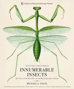 Cover of Innumerable Insects