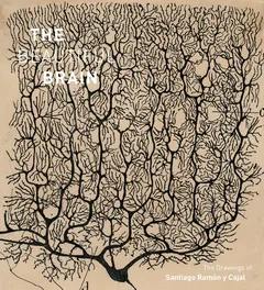 Cover of The Beautiful Brain