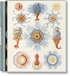 Cover of The Art and Science of Ernst Haeckel