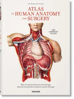 Cover of Bourgery. Atlas of Human Anatomy and Surgery